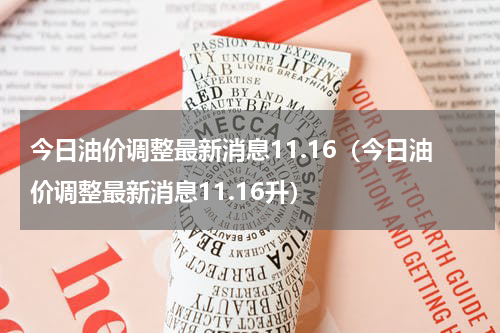 今日油价调整最新消息11.16（今日油价调整最新消息11.16升）