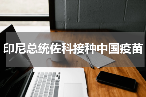 印尼总统佐科接种中国疫苗