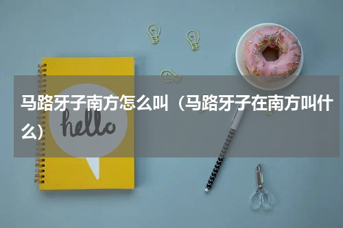 马路牙子南方怎么叫（马路牙子在南方叫什么）