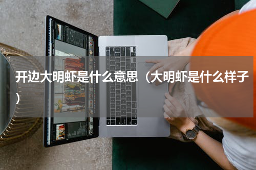 开边大明虾是什么意思（大明虾是什么样子）