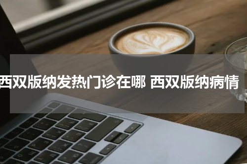 西双版纳发热门诊在哪 西双版纳病情