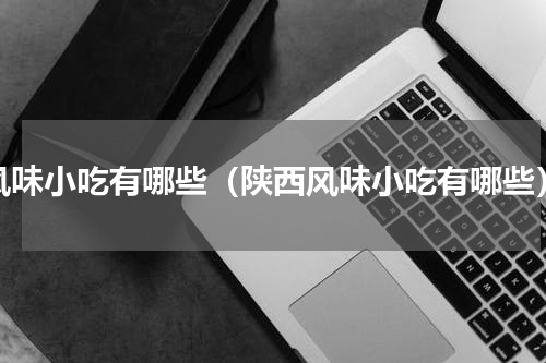 风味小吃有哪些（陕西风味小吃有哪些）