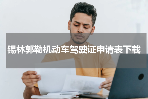 锡林郭勒机动车驾驶证申请表下载