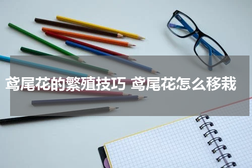 鸢尾花的繁殖技巧 鸢尾花怎么移栽