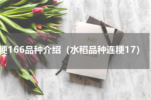 连粳166品种介绍（水稻品种连粳17）