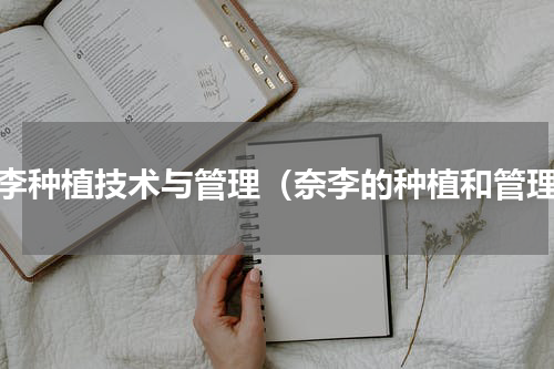 奈李种植技术与管理（奈李的种植和管理）