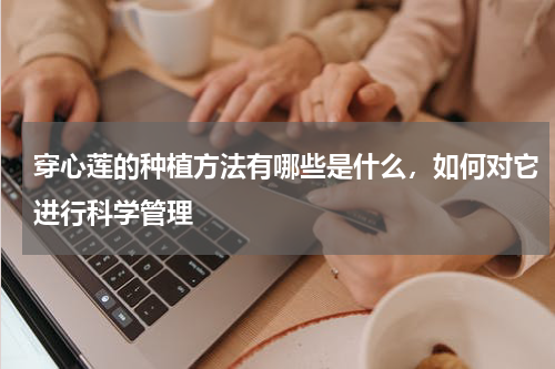 穿心莲的种植方法有哪些是什么，如何对它进行科学管理