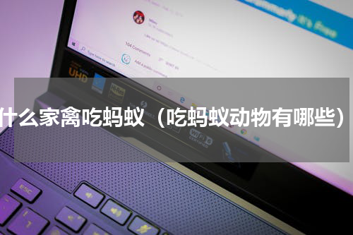 什么家禽吃蚂蚁（吃蚂蚁动物有哪些）