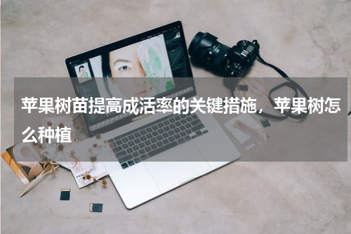 苹果树苗提高成活率的关键措施，苹果树怎么种植