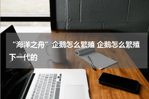 “海洋之舟”企鹅怎么繁殖 企鹅怎么繁殖下一代的